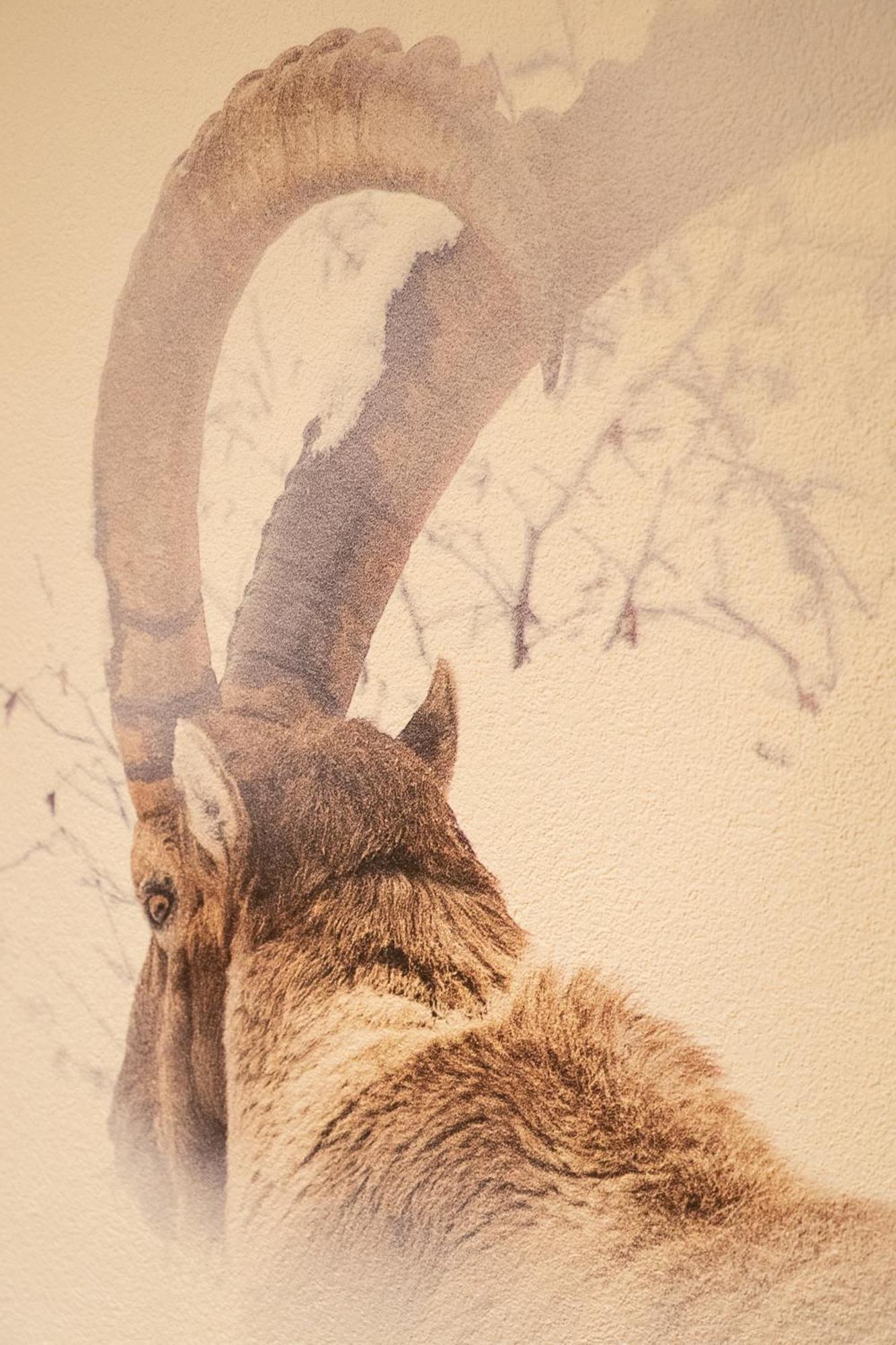 Hotel Les Chamois Verbier Room photo